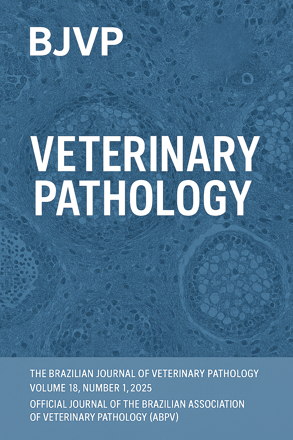 View Vol. 18 (2025): BJVP